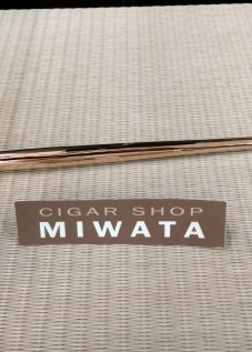 Iizuka Noboru Pink goid KISERU