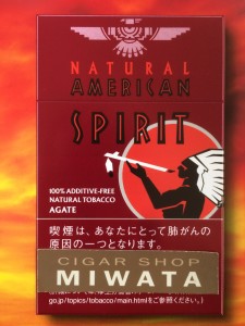 NATURAL AMERICAN SPIRIT AGATE