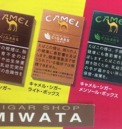 CAMEL CIGARS
