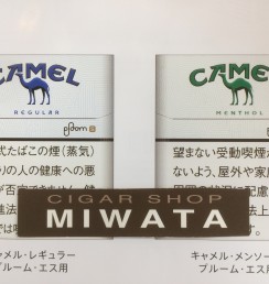 CAMEL Ploom S