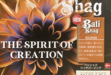 BALI SHAG RICH VIRGINIA