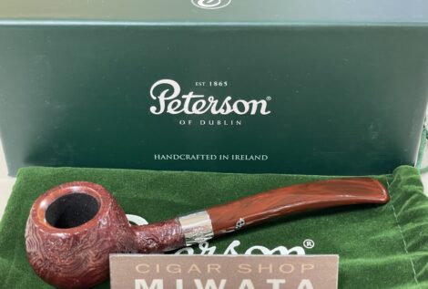 ピーターソン・アイリッシュハープ ４０６ サンドブラスト