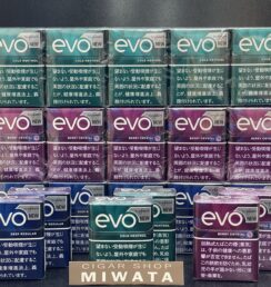 プルーム用たばこスティック新銘柄 エボ
