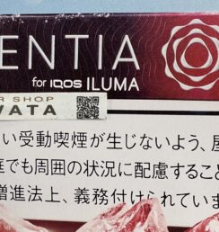 センティア アイシー レッド