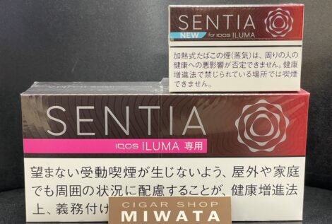 センティア アイシー レッド